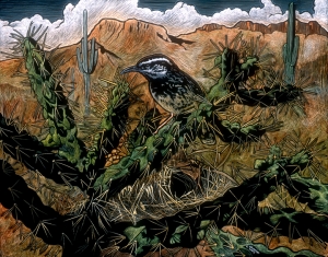Cactus Wren & Nest