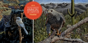 Scrub Jay / Gray Hawk