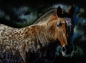 Appaloosa