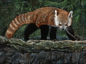 Crossing the Bridge of Uncertainty (Red Panda)